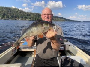 Läs mer om artikeln 45cm abborre på jerkfiske med Beastly Minnow.