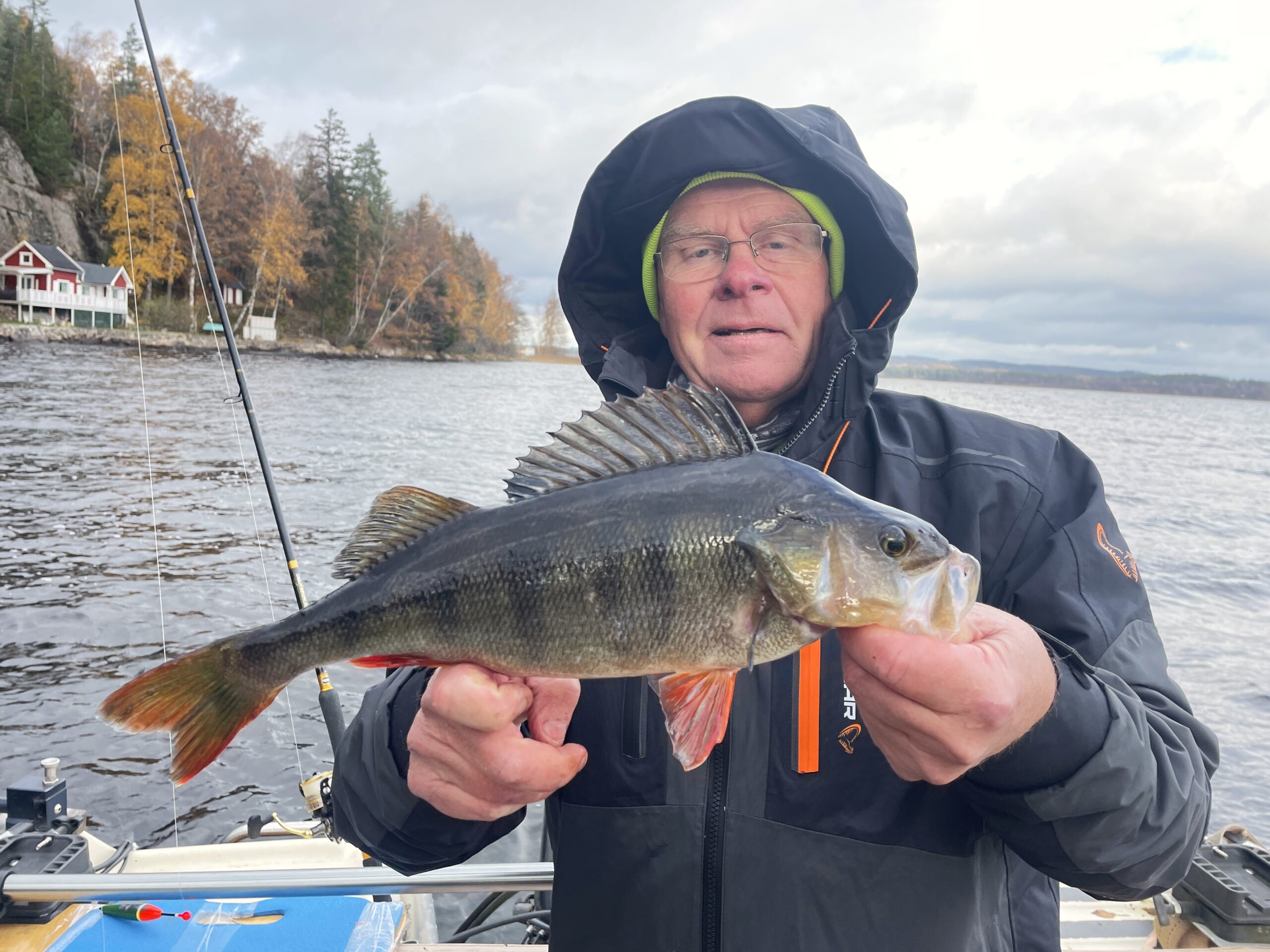 Du visar för närvarande NY fiskedress från Savage Gear