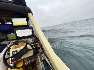 Läs mer om artikeln Laxen  i Hjo tog en glow apex pärlemor eller en hemmafixad Sick vibe i grönt.