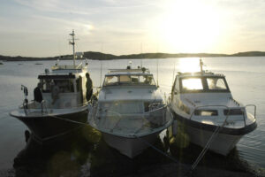 Läs mer om artikeln Artiklar ur HMS ..Fiskeveckan  +   Crangon Almanii